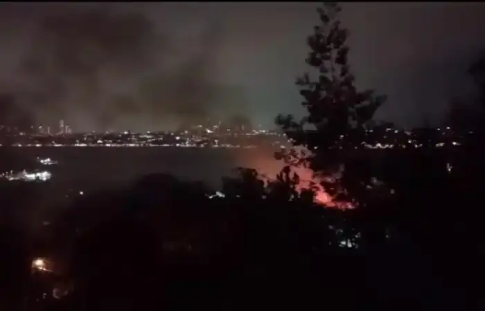 Beykoz Harmantepe'de korkutan yangın