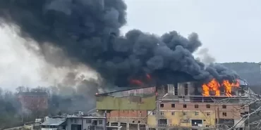 Beykoz’da feci yangın! Ekipler seferber oldu
