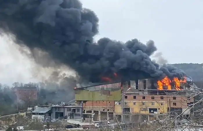 Beykoz’da feci yangın! Ekipler seferber oldu