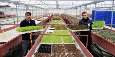 Beykoz’da tohumu getiren fideyi götürüyor