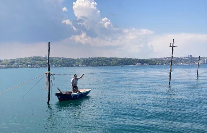 Beykoz’un yüzyıllık geleneği dalyan bu sene de devam ediyor!