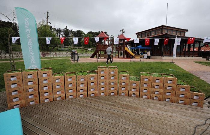 Beykoz Belediyesi Fide Desteği