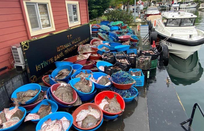 Beykoz Anadolu Fenerinde kaçak avlanan 10 ton balığa el konuldu