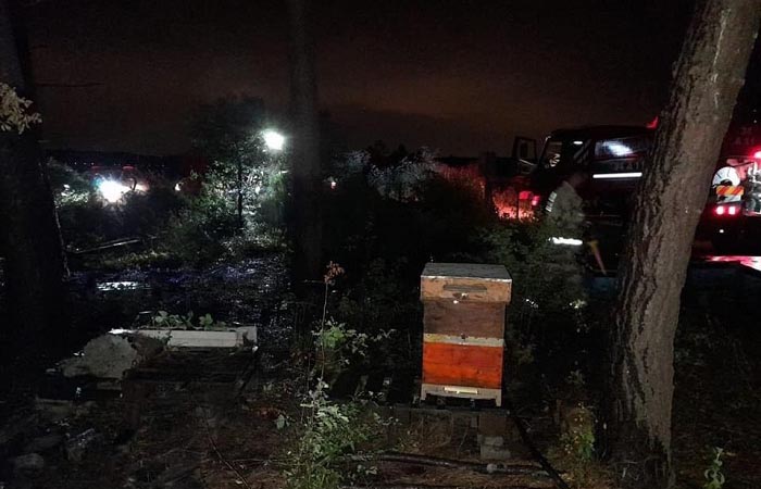 Beykoz’da ormanlık alanda faciadan dönüldü!