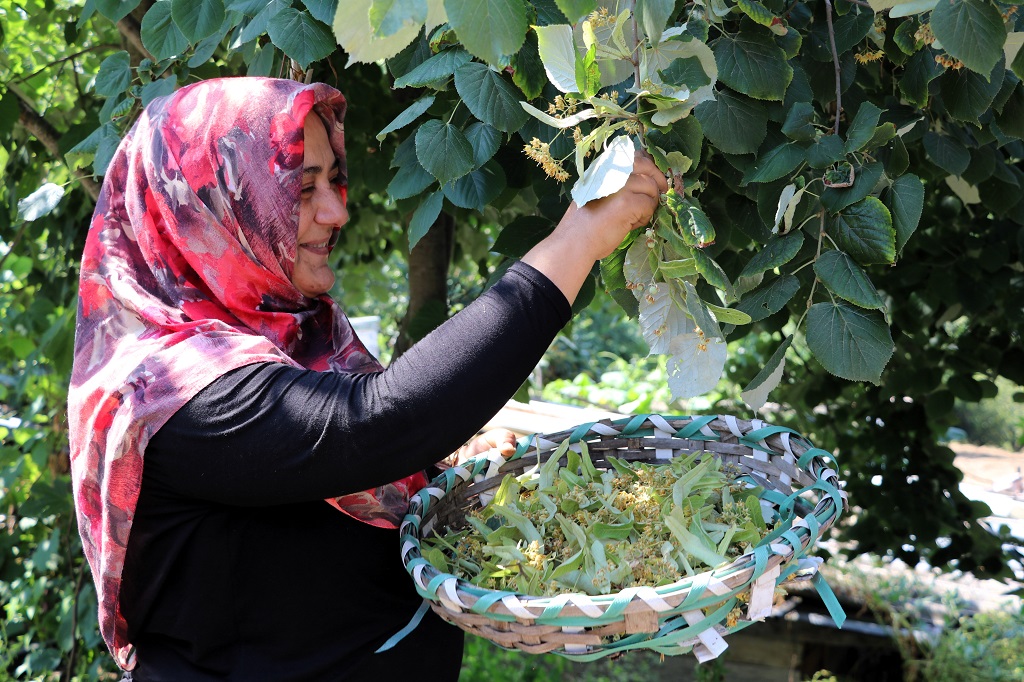 Beykoz’da kadınlar tarıma güç veriyor