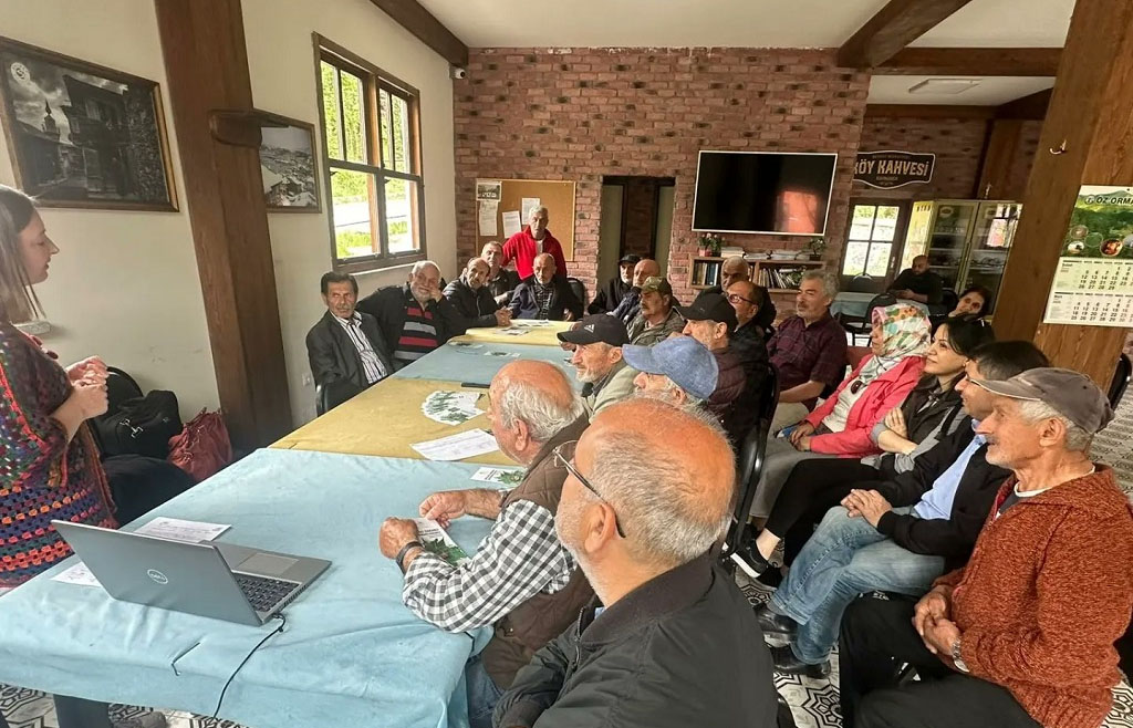 Beykoz’da kahverengi kokarca ile mücadele planı