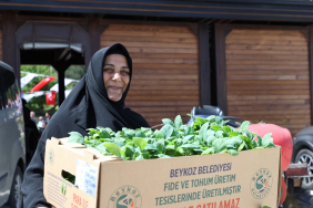 Beykoz Belediyesi 1 milyon fide dağıtacak