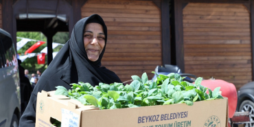 Beykoz Belediyesi 1 milyon fide dağıtacak