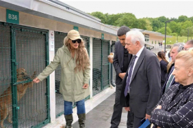 Beykoz’da köpek sorununa Seren Serengil çözümü tepki topladı