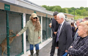 Beykoz’da köpek sorununa Seren Serengil çözümü tepki topladı