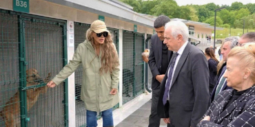 Beykoz’da köpek sorununa Seren Serengil çözümü tepki topladı