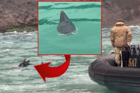 Beykoz Poyrazköy'de radar füzesi bulundu