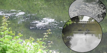 Beykoz’un incisi Riva Deresi yine kirle kaplandı