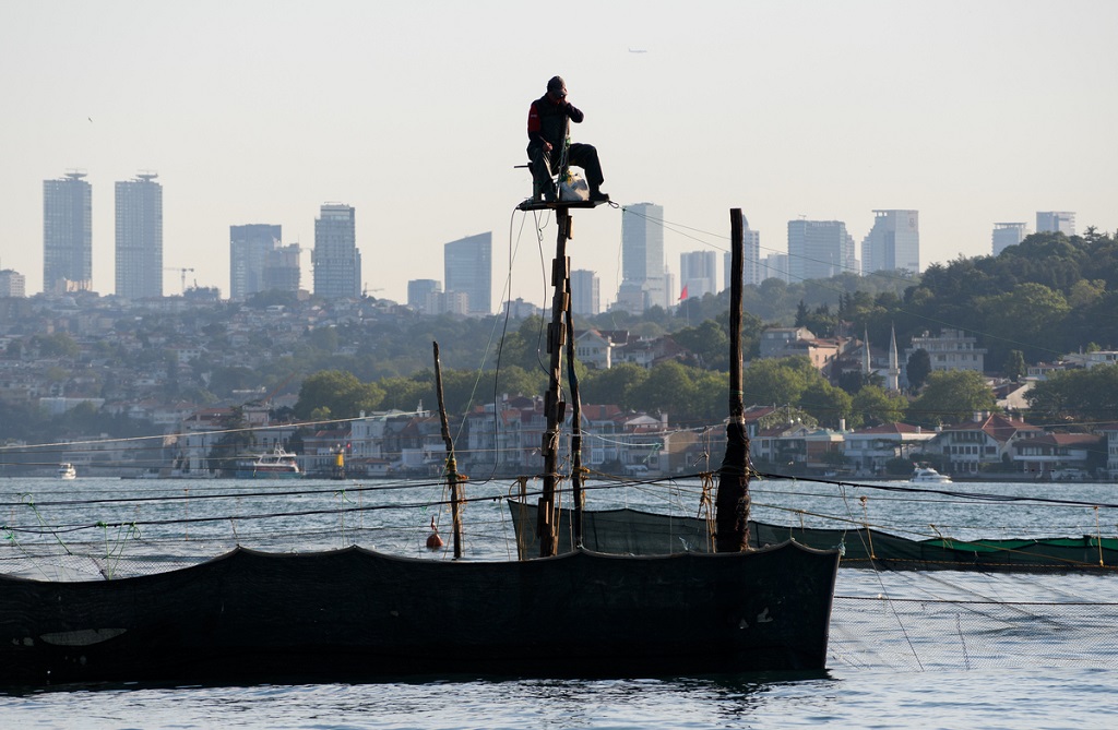 Beykoz’un sembolü İstanbul’un son dalyanı kuruldu