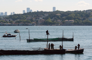 Beykoz’un sembolü İstanbul’un son dalyanı kuruldu