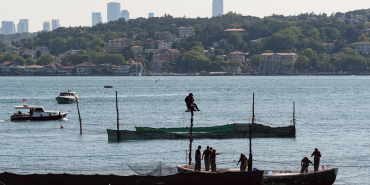 Beykoz’un sembolü İstanbul’un son dalyanı kuruldu
