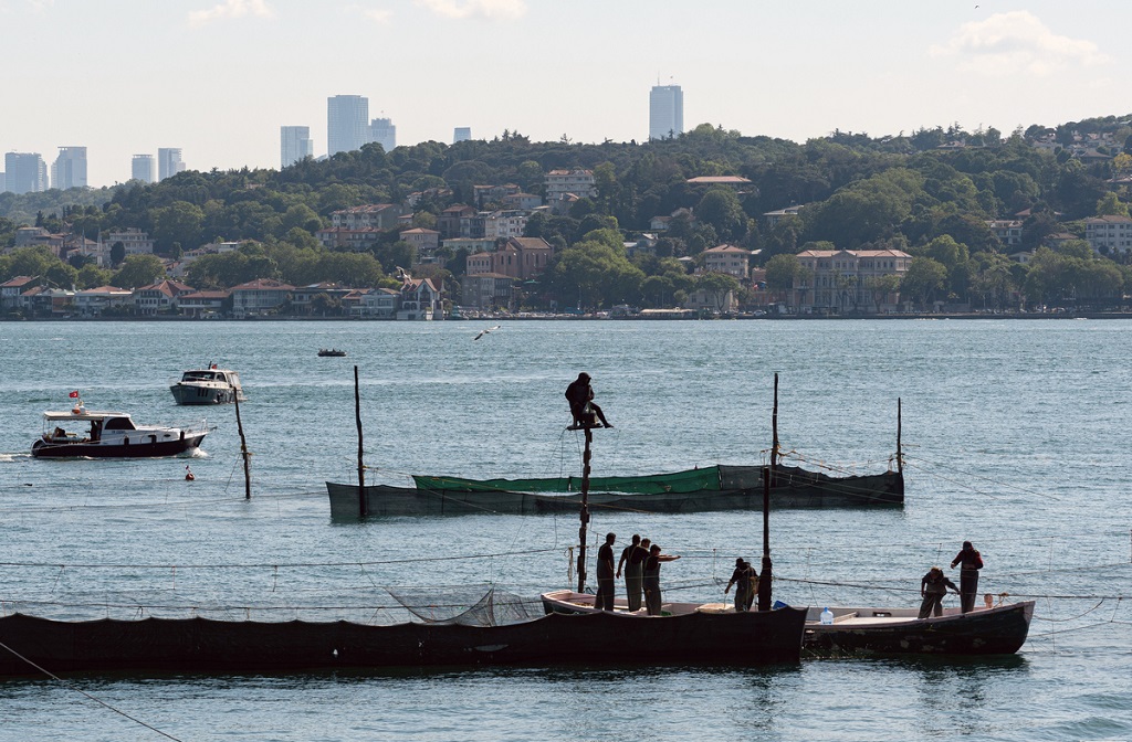 Beykoz’un sembolü İstanbul’un son dalyanı kuruldu