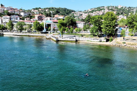 Beykoz sahilinden çıkanlar şaşkına çevirdi