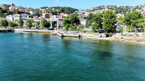 Beykoz sahilinden çıkanlar şaşkına çevirdi