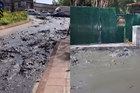 Beykoz sokaklarında korkunç görüntü!