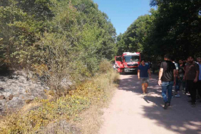 Beykoz’da ormanlık alanda çıkan yangın söndürüldü