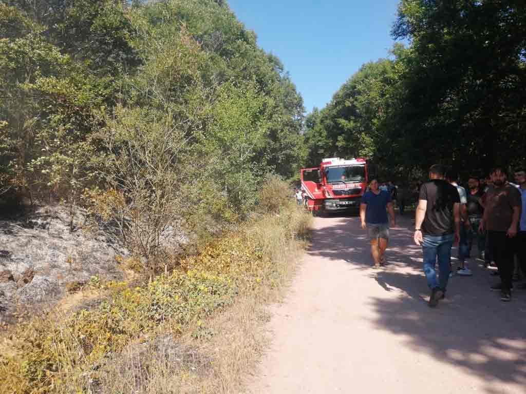 Beykoz’da ormanlık alanda çıkan yangın söndürüldü