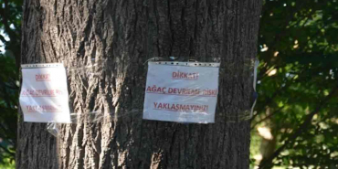 beykozda-saka-gibi-uyari