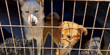 Beykoz'u yakındıran ilgilendiren yasa komisyondan geçti!