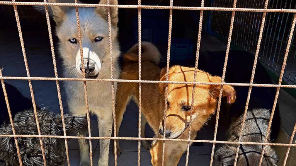 Beykoz'u yakındıran ilgilendiren yasa komisyondan geçti!