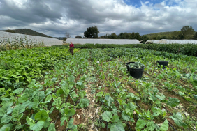 beykoz_galeri805 (5)