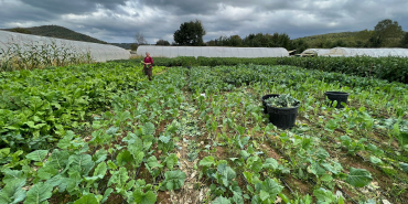 beykoz_galeri805 (5)