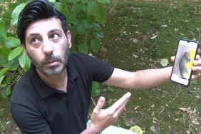 beykozda-basibos-kopek-sikayetleri-artiyor