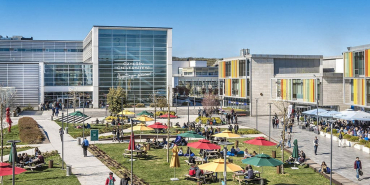 ozyegin-universitesi-2024-2025-ucretleri