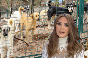 seren-serengil-duyurdu-beykoz-belediyesi-yasayi-tanimayacak