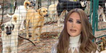 seren-serengil-duyurdu-beykoz-belediyesi-yasayi-tanimayacak