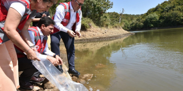 beykozda-binlerce-sazan-yavrusu-suya-birakildi