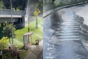 beykozda-cekilen-video-tepkilere-neden-oldu