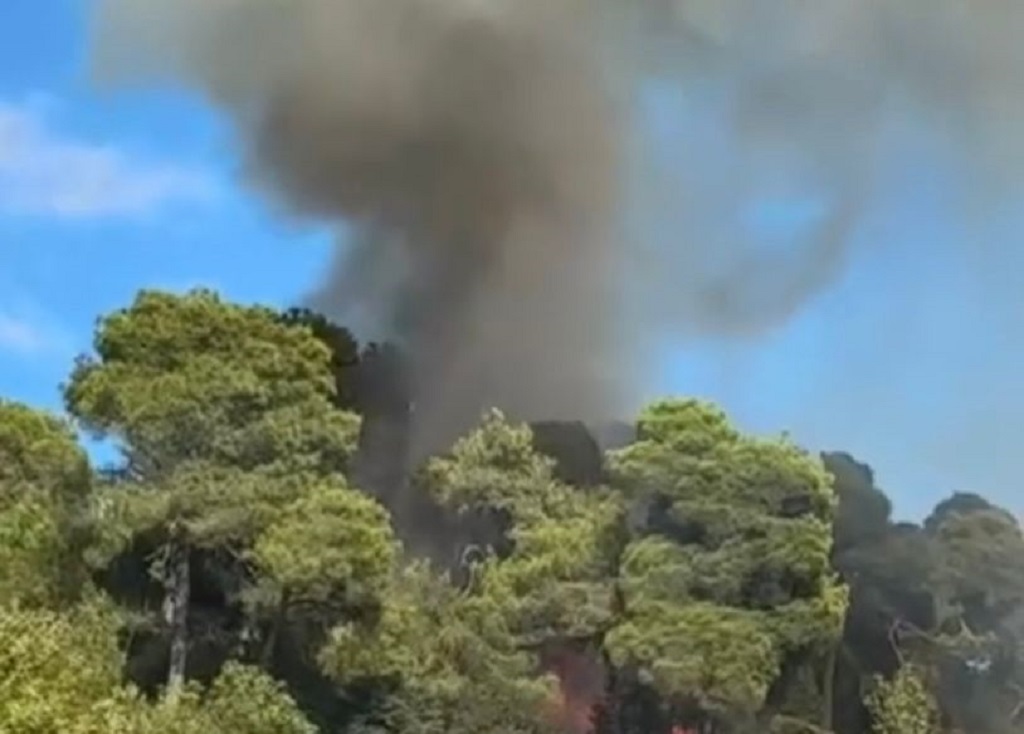 beykozda-yangin-alarmi-havadan-mudahale-suruyor