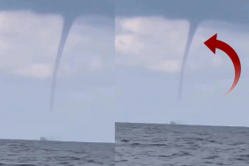 beykoz-rivada-hortum-panigi