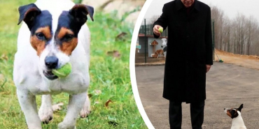 beykozun-maskotu-maylo-surgun-edildi (1)