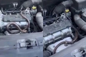 Beykoz'da aracına yılan girince itfaiyeye koştu