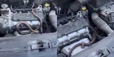 Beykoz'da aracına yılan girince itfaiyeye koştu