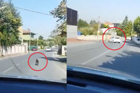 beykozda-yurekleri-sizlatan-goruntu