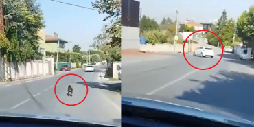 beykozda-yurekleri-sizlatan-goruntu