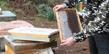 beykozlu-bal-ureticilerine-ari-yemi-destegi