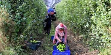daha-uretken-bir-beykoz-icin-yeni-yol-haritasi-cizildi