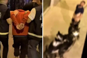 sokak-ortasinda-sapiklik-yapan-zanli-beykozda-yakalandi