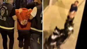 sokak-ortasinda-sapiklik-yapan-zanli-beykozda-yakalandi