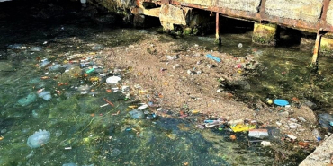 Beykoz'da insanı utandıran görüntüler! (4)