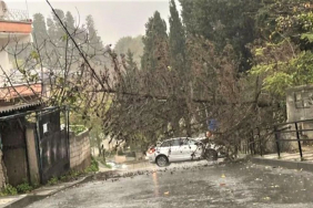 Beykoz’da şiddetli lodos ağaçları devirdi!